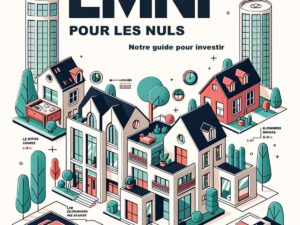 lmnp pour les nuls