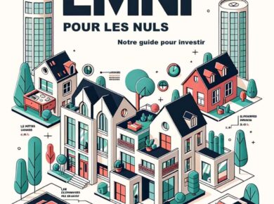 lmnp pour les nuls